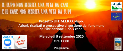 Risultati finali del progetto LIFE M.I.R.Co-lupo