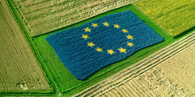 L'agricoltura italiana di fronte alla sfida del green deal europeo