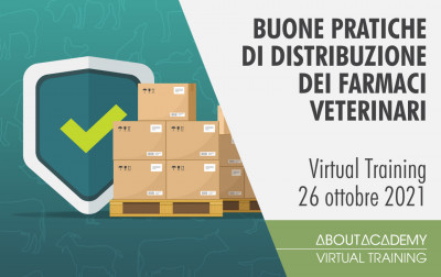 Gestione delle reti di vendita e ruolo dell’Area manager