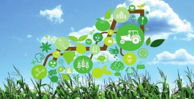 Il ruolo dei dati nell’agricoltura 4.0 