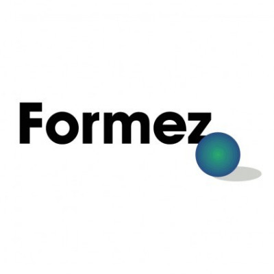Il Programma pluriennale FIS. Capacity building e modelli di innovazione sociale