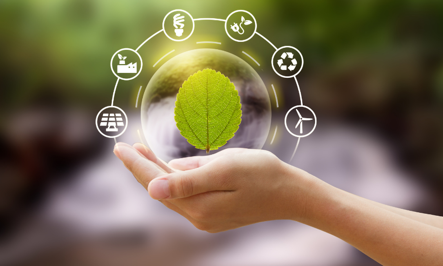 Strumenti e competenze per la transizione green