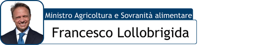 lollobrigida